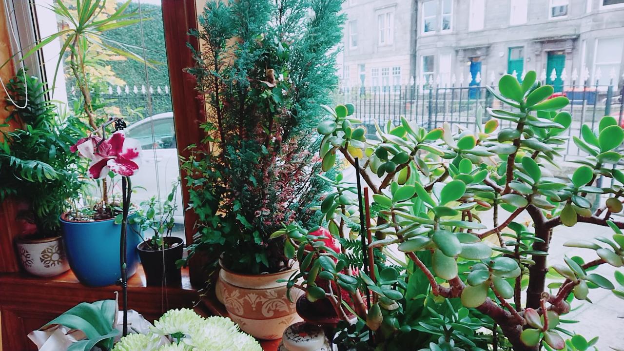 Swan Lake Guest House 에든버러 외부 사진
